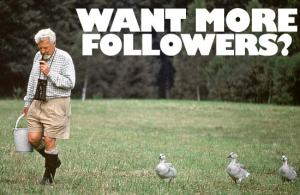 This is exactly how I gained followers...bird seed.  :D